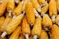 Photo of yellow corn background, abstract backgrounds, harvest season, healthy organic nutrition, maize cob, golden textured Royalty Free Stock Photo