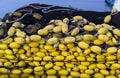 Photo of yellow net floats attached to a black fishing net Royalty Free Stock Photo