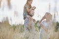 Young family walking through a field of corn on a summers day the father is carrying his younger daughter on his shoulders Royalty Free Stock Photo