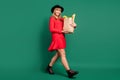 Photo of young lady hold paper bag food walk wear hat red dress footwear isolated green color background Royalty Free Stock Photo