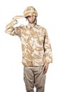 Portrait of young military guy in uniform saluting general Royalty Free Stock Photo