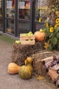 Photo zone near a cafe or shop for Halloween. Pumpkins, straw. Vertical Orientation Royalty Free Stock Photo