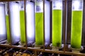 Photobioreactor in close system