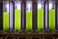 Photobioreactor in lab algae fuel biofuel industry