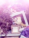 Photoframes and vase with flowers in the garden Royalty Free Stock Photo