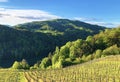 Photogenic vineyards and lowland forests in the Rhine valley, Buchberg Royalty Free Stock Photo