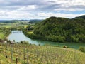 Photogenic vineyards and lowland forests in the Rhine valley, Buchberg Royalty Free Stock Photo