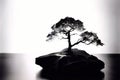 photogram rock create a camera less image by placing the rock di