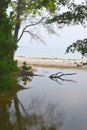 Sea Arm - Body of Water with Reflection of Trees - Natural Landscape