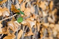 Photograph of a background vines with brown leaves. Royalty Free Stock Photo