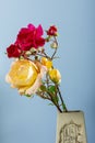 Photograph of a bouquet of natural flowers of red and yellow roses in a brown vase on a blue background.The photo was taken in a Royalty Free Stock Photo