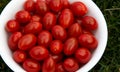 Bright red cherry tomatoes in a white bowl on a green lawn.