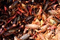 Crawfish Pot and Boil on a Sunny Day Royalty Free Stock Photo