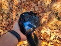 Photograph with a camera on a background of a carpet of brown leaves to photograph the autumn season in the parks of Madrid