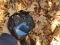 Photograph with a camera on a background of a carpet of brown leaves to photograph the autumn season in the parks of Madrid