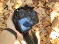 Photograph with a camera on a background of a carpet of brown leaves to photograph the autumn season in the parks of Madrid