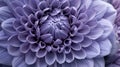 Close-up Of Violet Flower In Daniel Arsham Style Royalty Free Stock Photo