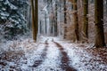 A photograph capturing a path covered in snow, winding through a forest filled with trees, A path through the woods, freshly Royalty Free Stock Photo