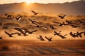 A Photograph capturing the vibrant burst of colors as a flock of birds takes flight amid a desert landscape at sunset