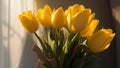 A Photograph capturing the vibrant elegance of a yellow tulips