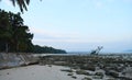 Palm Trees, Rocks, and Sky - Dawn at Vijaynagar Beach, Havelock Island, Andaman & Nicobar Islands, India