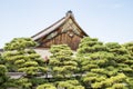 Photograph of the detail of the roof of a Japanese temple