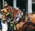 Horses traditionally decorated for the fair