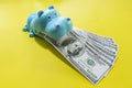 A photograph of a dollar banknote in the mouth of a hippo doll. On a yellow background Global financial crisis concepts, business Royalty Free Stock Photo