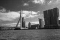 Photograph of the Erasmusbrug bridge in Rotterdam, the Netherlands