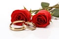 A photograph featuring two wedding rings and two roses placed on a white background, Two wedding rings and red roses isolated on Royalty Free Stock Photo