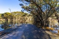 Photograph of flooding in Blundells Creek near the Hawkesbury River in Australia