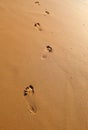 Foot Prints on Sand - Every Journey of Thousand Miles Begins with a Small Step