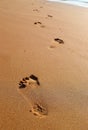 Foot Steps on Sand - Every Journey of Thousand Miles Begins with a Small Step Royalty Free Stock Photo