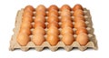The Photograph of fresh eggs packed in a tray made from cardboard boxes high resolution 45MP and focus stacking technique Royalty Free Stock Photo