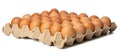 The Photograph of fresh eggs packed in a tray made from cardboard boxes high resolution 45MP and focus stacking technique Royalty Free Stock Photo