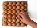 The Photograph of fresh eggs packed in a tray made from cardboard boxes high resolution 45MP and focus stacking technique Royalty Free Stock Photo