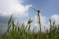 Photograph of a giant windmill located in Satara