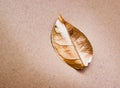 Golden painted tree leaf