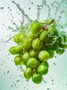 Photograph - grapes in water by eddie mcdonald Royalty Free Stock Photo