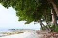 Under Shade of Green Trees on Sea Shore - Radhanagar Beach, Havelock Island, Andaman & Nicobar, India Royalty Free Stock Photo