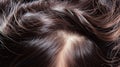 Detailed View of Dark Brown Hair