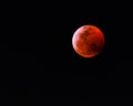 Super Blood Wolf Moon 2019 Royalty Free Stock Photo