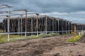 Photograph of a Kelp processing facility on King Island