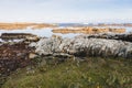 Photograph of Kelp washed up on a rocky shoreline on King Island