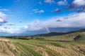 Photograph of a large rainbow over an agricultural field with cows grazing in New Zealand Royalty Free Stock Photo