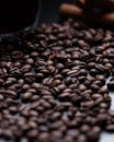 Photograph of light arabica coffee beans Royalty Free Stock Photo