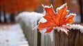 From Autumn to Winter, A light dusting of snow on a wooden fence with a single maple leaf.