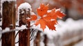 A photograph of a light dusting of snow on a wooden fence with a single maple leaf.