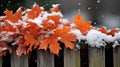 A light dusting of snow on a wooden fence with maple leaves.