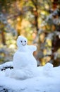 Little Snowman - Joy, Happiness, and Smiling Face - Positive Emotions and Attitude
